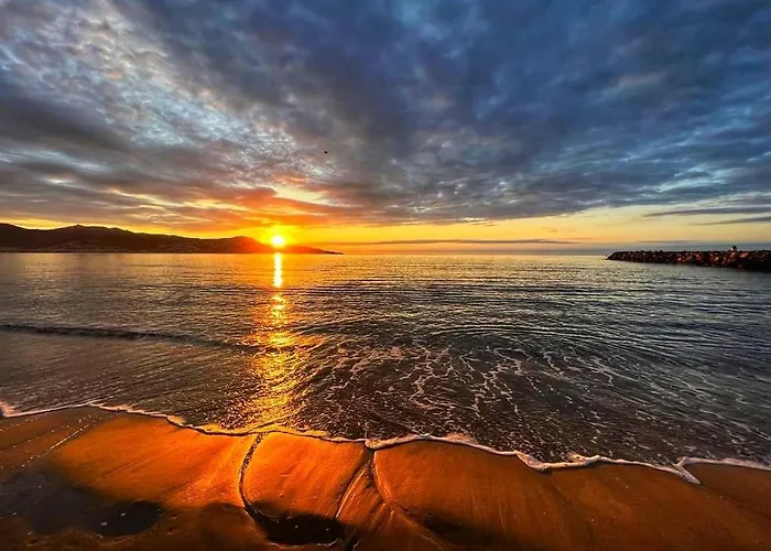 Leon Inmo Loro - 14157 Vila *