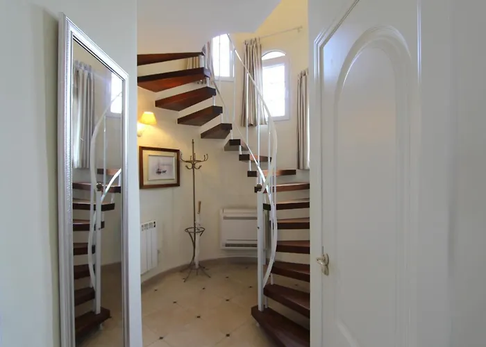 Leon Inmo Loro - 14157