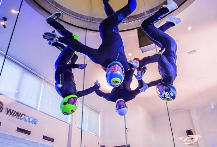 Leon Inmo Loro - 14157 Empuriabrava